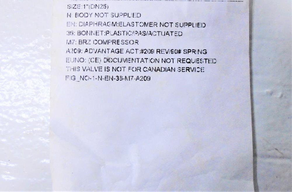 ITT Pure-Flo Advantage A209 Diaphragm Actuator for 1" Valve 1-N--EN-36-M7-A209